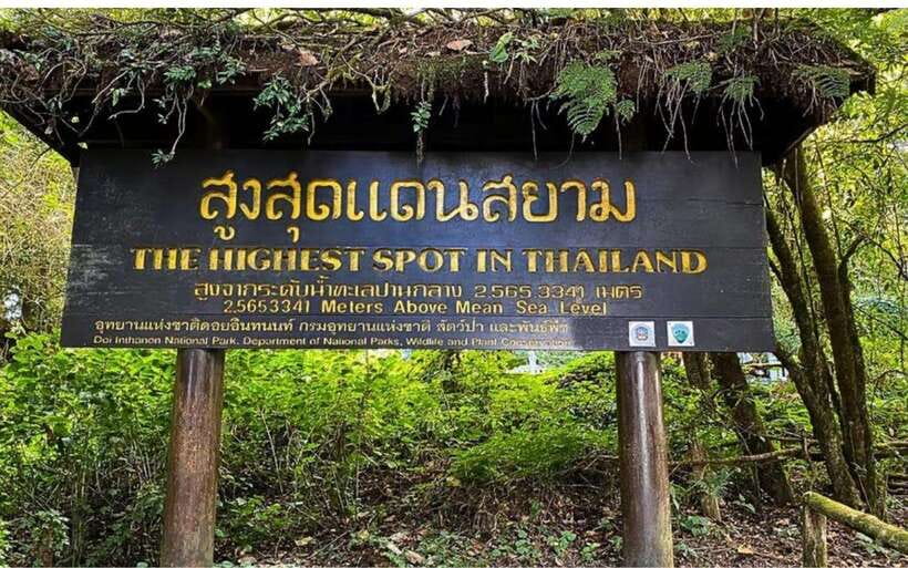 Chiang Mai: Doi Inthanon National Park and Pha Dok Siew Trek - Karen village, coffee, and what you’re actually learning