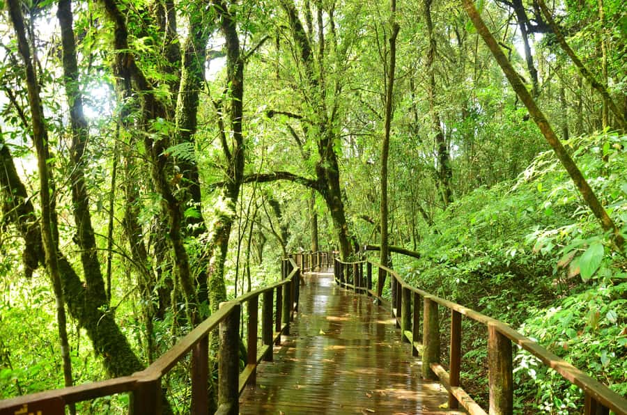 Chiang Mai: Doi Inthanon National Park Private Tour - Should you book the Chiang Mai Doi Inthanon National Park Private Tour?