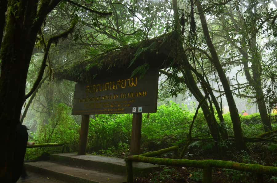 Chiang Mai: Doi Inthanon National Park Private Tour - Choosing between sightseeing and two trekking routes