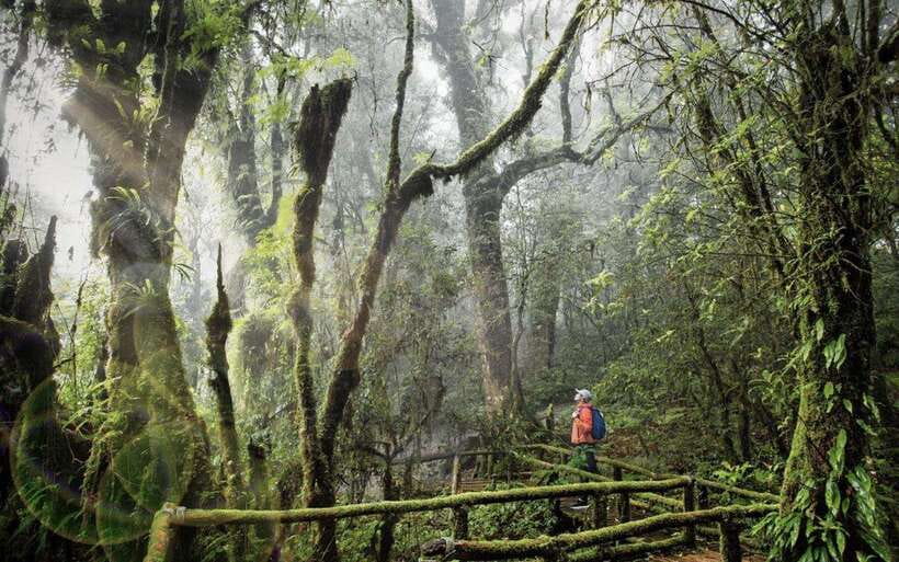 Chiang Mai: Doi Inthanon National Park Sightseeing Only - Key things that make this day trip work