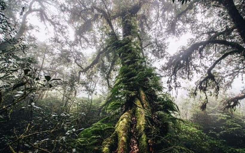 Chiang Mai: Doi Inthanon National Park Sightseeing Only - Guide and timing: small-group comfort, plus the value of explanations