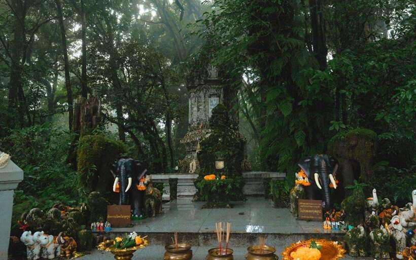 Chiang Mai: Doi Inthanon National Park Sightseeing Only - Price and entrance fees: what you really pay for