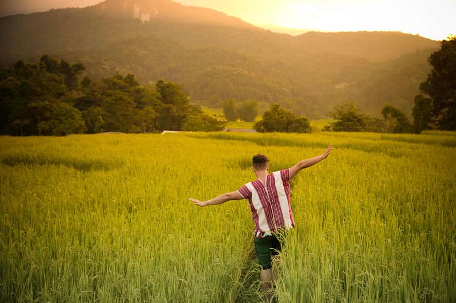 Chiang Mai: Doi Inthanon National Park, Waterfall & Lunch - Karen Village lunch: a cultural stop that’s built into your day