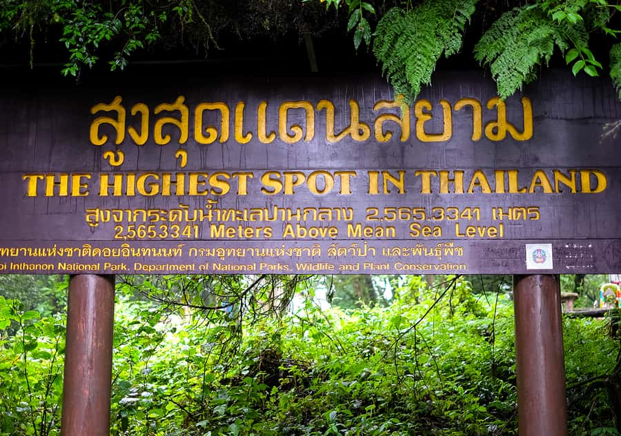 Chiang Mai: Doi Inthanon National Park with Ticket & Lunch - Ang Ka Nature Trail: a short rainforest walk that resets your senses
