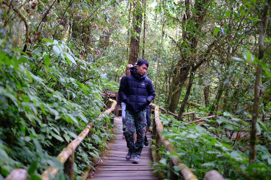 Chiang Mai: Doi Inthanon National Park with Ticket & Lunch - Hmong hill tribe market: quick browse, local flavors, handmade finds