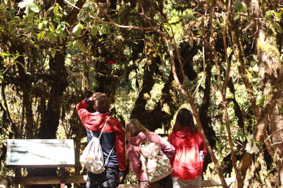 Chiang Mai: Doi Inthanon National Park with Ticket & Lunch - Lunch at the Inthanon Royal Project Restaurant: the value is real