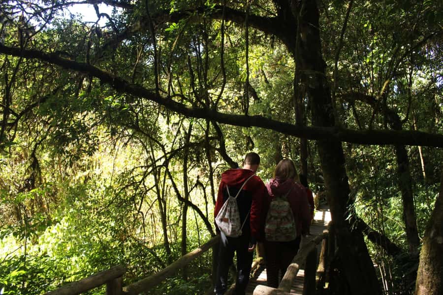 Chiang Mai: Doi Inthanon National Park with Ticket & Lunch - Vachiratharn Waterfall: the dramatic finish (when weather cooperates)
