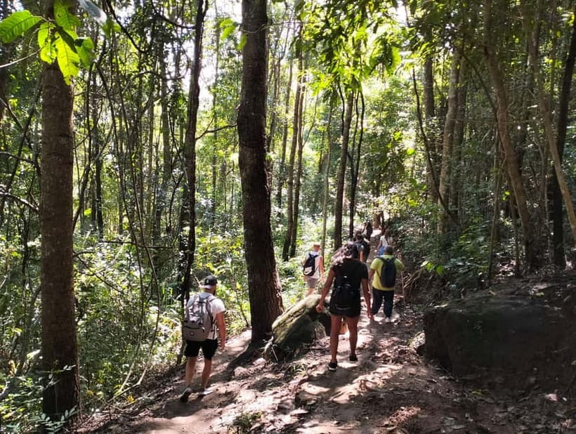Chiang Mai: Doi Inthanon National Park+Trek Pha Dok Siew - Hmong Market and Wachiratharn Waterfall Before Chiang Mai