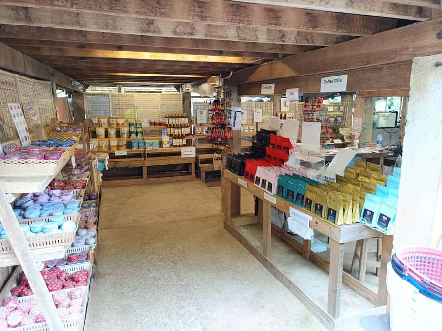 Chiang Mai: Doi Inthanon One-Day Tour with a Private Driver - Morning logistics: pickup, ride comfort, and settling in