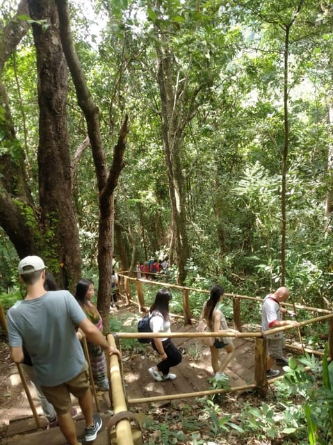Chiang Mai: Doi Inthanon Park and Pha Dok Siew Hike Day Trip - Karen Hill Tribe Village and the coffee moment