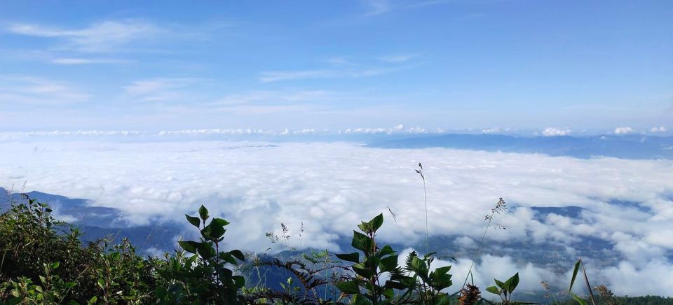 Chiang Mai: Doi Inthanon Park Day Trip with Kiw Mae Pan Hike - What to pack for a cool mountain day (and why)