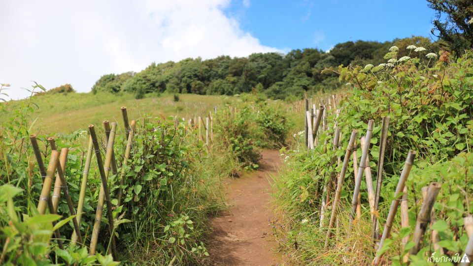 Chiang Mai: Doi Inthanon Park Day Trip with Kiw Mae Pan Hike - King’s and Queen’s Pagodas: the photo stop with real meaning