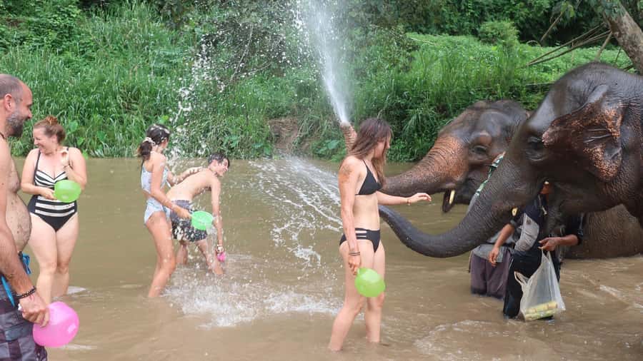 Chiang Mai: Doi Inthanon Park Hiking & Elephants Sanctuary - Key highlights worth centering in your decision
