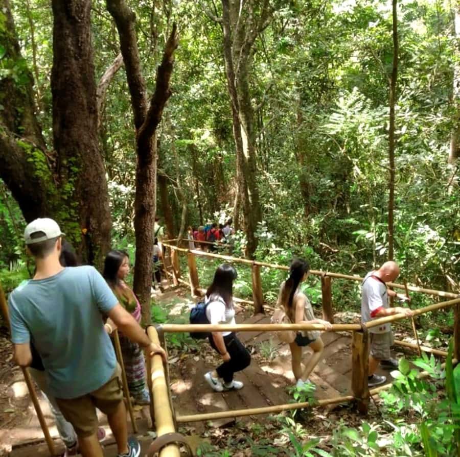 Chiang Mai: Doi Inthanon Park Hiking & Elephants Sanctuary - Pha Dok Siew Nature Trail: waterfalls, rice terraces, and real walking time