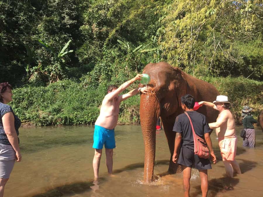 Chiang Mai: Doi Inthanon Park Hiking & Elephants Sanctuary - Baan Mae Klang Luang mountain coffee: a simple local win