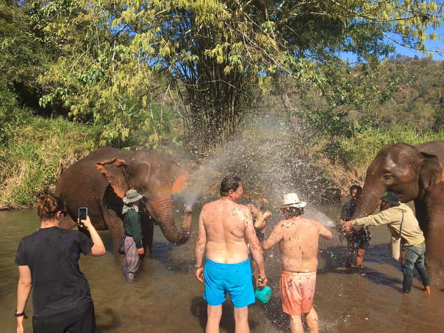 Chiang Mai: Doi Inthanon Park Hiking & Elephants Sanctuary - Logistics that affect comfort: group size, timing, and what to pack