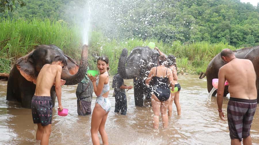 Chiang Mai: Doi Inthanon Park Hiking & Elephants Sanctuary - Price and value: what $76 buys you in a full-day Chiang Mai plan
