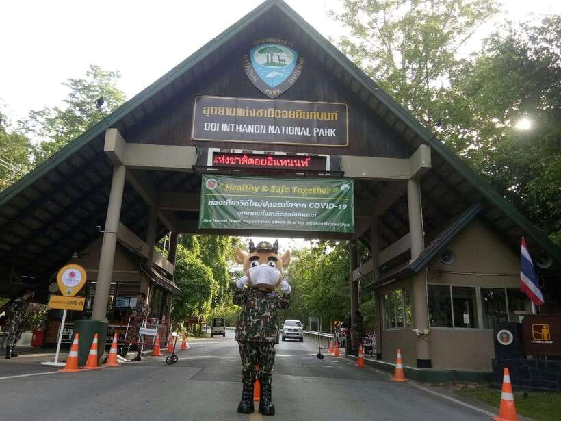 Chiang Mai: Doi Inthanon Park Tour & Kew Mae Pan Trail Hike - What to wear and bring: sun, cool air, and pagoda etiquette