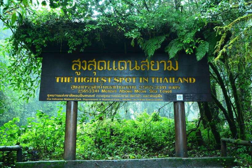 Chiang Mai: Doi Inthanon Park Tour & Kew Mae Pan Trail Hike - Doi Inthanon in one packed day: what you get