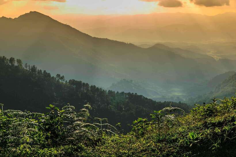 Chiang Mai: Doi Inthanon Park Tour & Kew Mae Pan Trail Hike - Kew Mae Pan Nature Trail hike: 2 hours on the most popular route