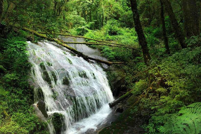 Chiang Mai: Doi Inthanon Park Tour & Kew Mae Pan Trail Hike - Hill tribe stops: White Karen hamlet and the Hmong Village Market