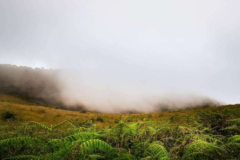 Chiang Mai: Doi Inthanon Park Tour & Kew Mae Pan Trail Hike - Park fees and the $51 price: where value can change