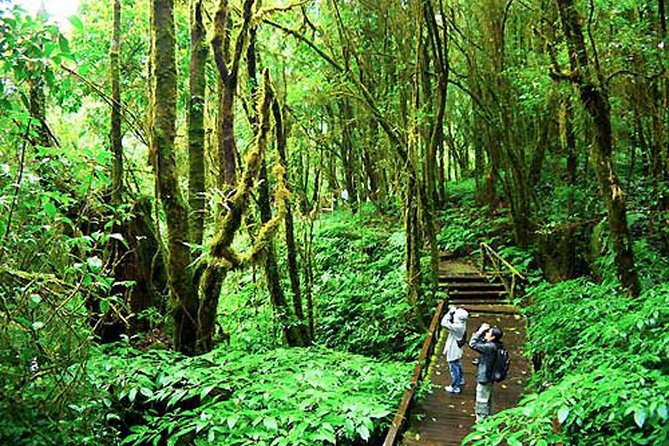 CHIANG MAI: Doi Inthanon-Trekking Keiw Mae Pan-Waterfall-Lunch - Price and value: what $43.12 covers (and what it doesn’t)