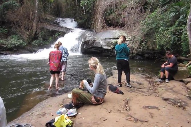 CHIANG MAI: Doi Inthanon-Trekking Pha Dok Seaw-Waterfall-Lunch - Timing, Transfers, and the Reality of a 9-Hour Mountain Day