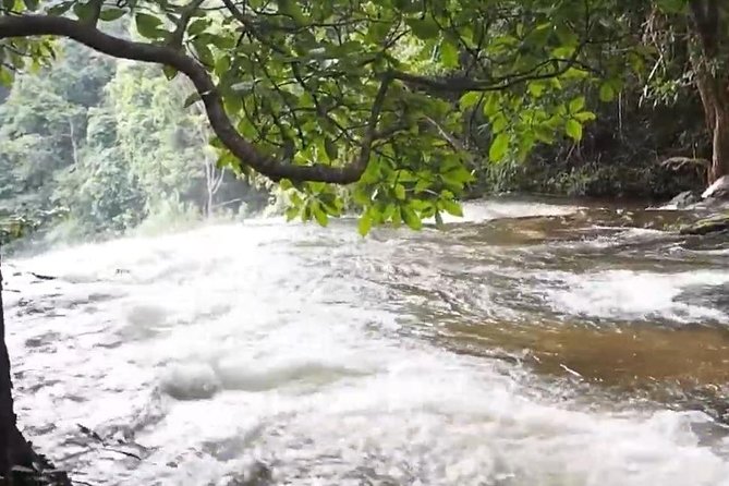 CHIANG MAI: Doi Inthanon-Trekking Pha Dok Seaw-Waterfall-Lunch - Lunch Included at a Local Restaurant (and What to Expect)