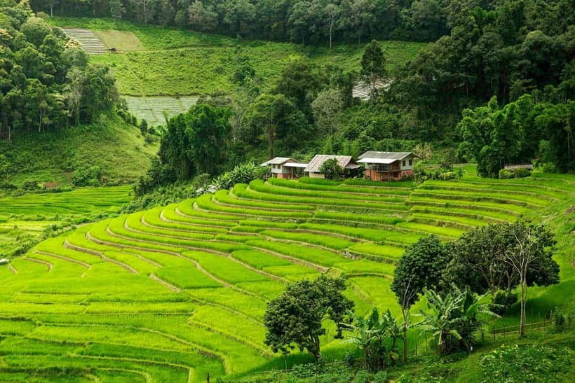 Chiang Mai: Doi Inthanon Trip with Pha Dok Siew Guided Trek - Doi Inthanon day trips: why this one is built around the park