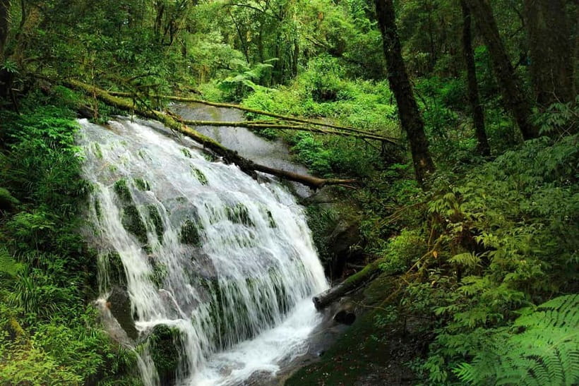 Chiang Mai: Doi Inthanon Trip with Pha Dok Siew Guided Trek - Pha Dok Siew Nature Trail: a guided 2-hour walk on Karen-built paths