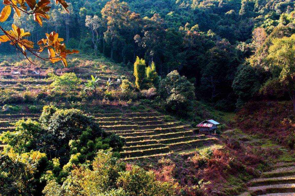 Chiang Mai: Doi Inthanon, Waterfalls, & Tribal Villages Tour - Guides, language, and how to get the most out of the day