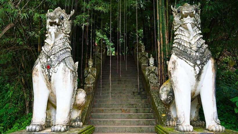 Chiang Mai: Doi Suthep and Wat Pha Lat Temple Evening Tour - Wat Phra That Doi Suthep: golden chedi, steep stairs, and big-city views