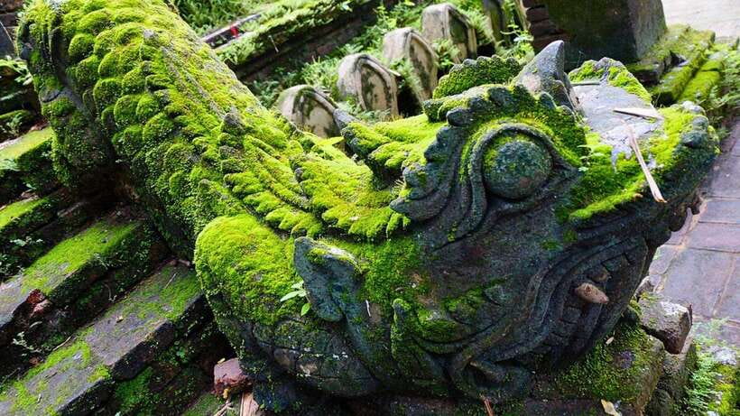 Chiang Mai: Doi Suthep and Wat Pha Lat Temple Evening Tour - Who this tour fits best