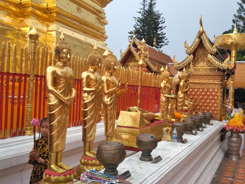 Chiang Mai: Doi Suthep National Park Leisure Hiking & Biking - Wat Phra That Doi Suthep: the big temple moment with altitude views