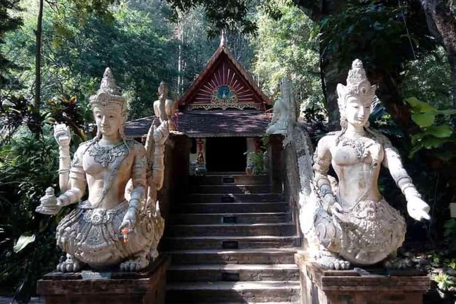 Chiang Mai: Doi Suthep, Orchid Farm and Waterfall with Lunch - Why This Chiang Mai Day Works: Temples, Orchids, and Water Fun