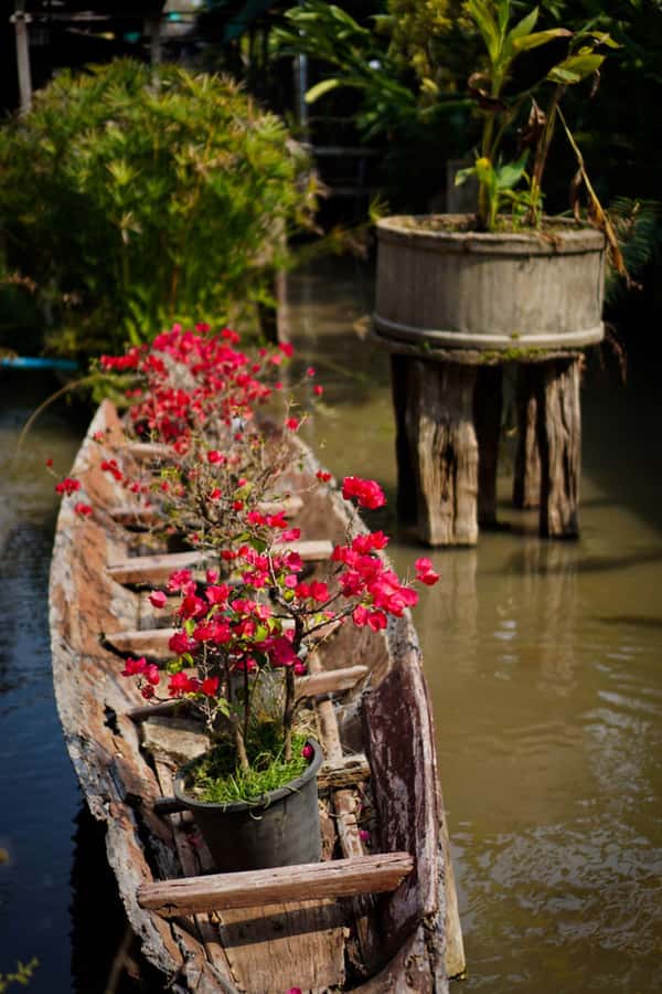 Chiang Mai: Doi Suthep, Orchid Farm and Waterfall with Lunch - Lunch in Muang Chiang Mai: A Practical Midday Reset