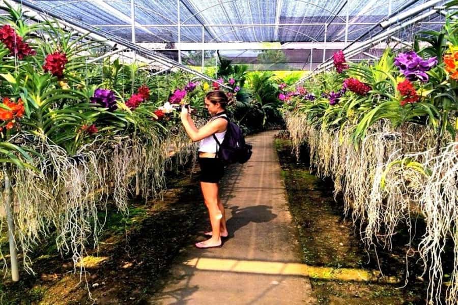 Chiang Mai: Doi Suthep, Orchid Farm and Waterfall with Lunch - Optional Karen Village Stop: If You Want More Cultural Time