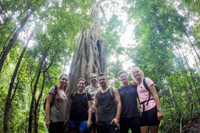Chiang Mai: Doi Suthep Summit Trek – 7 Hour Pure Hiking Adventure - Key highlights I’d plan around
