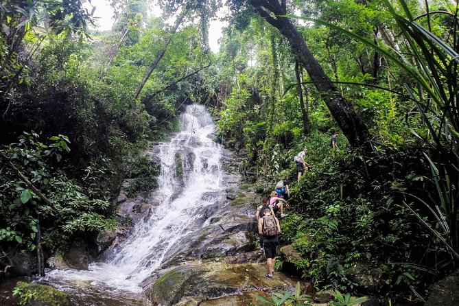 Chiang Mai: Doi Suthep Summit Trek – 7 Hour Pure Hiking Adventure - What This Doi Suthep to Doi Pui Summit Trek Really Feels Like