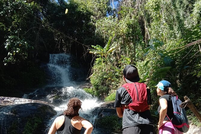 Chiang Mai: Doi Suthep Summit Trek – 7 Hour Pure Hiking Adventure - The First Climb: Wat Pha Lat and the Monk’s Trail Segment