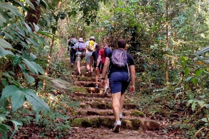 Chiang Mai: Doi Suthep Summit Trek – 7 Hour Pure Hiking Adventure - Price and Value: What You’re Paying For (and What Costs Extra)