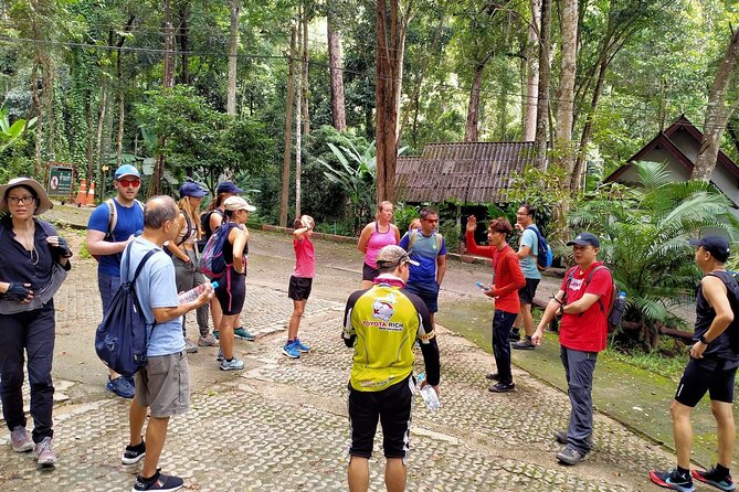 Chiang Mai: Doi Suthep Summit Trek – 7 Hour Pure Hiking Adventure - Pickup, Group Size, and Getting to the Monk’s Trail