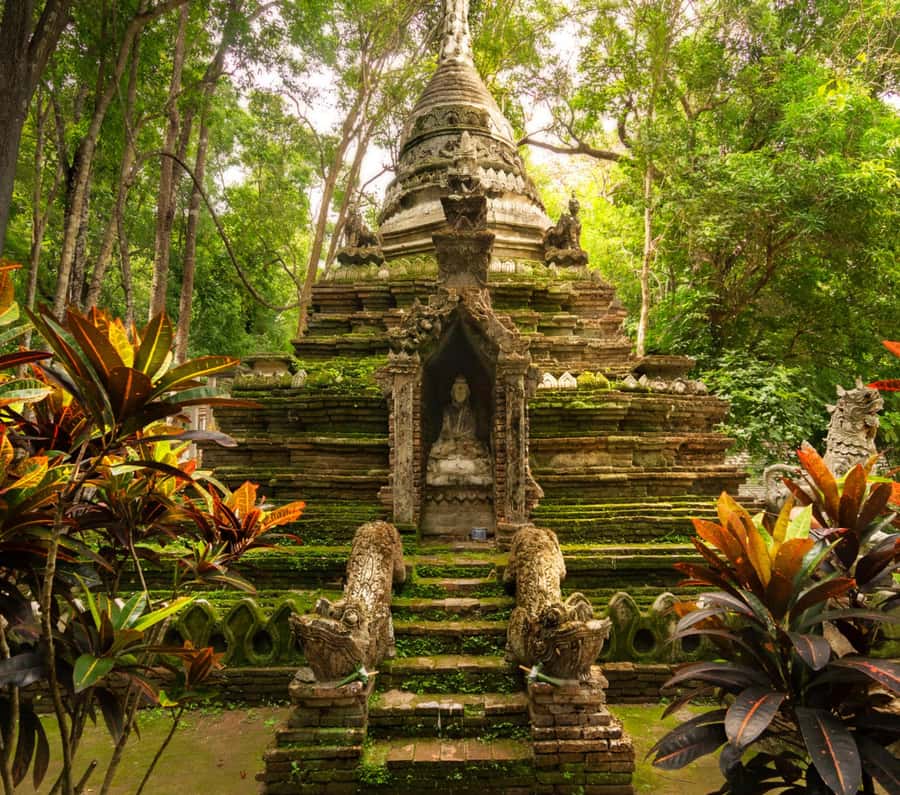 Chiang Mai: Doi Suthep Temple & Sticky Waterfall Trip - Chiang Mai in one day: temples, a farm stop, then Bua Thong