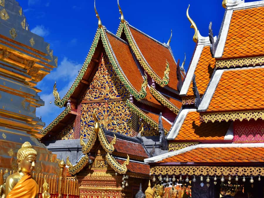 Chiang Mai: Doi Suthep Temple & Sticky Waterfall Trip - Bai Orchid & Butterfly Farm: a colorful pause before the falls
