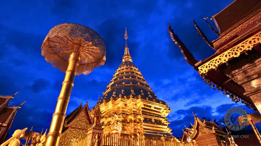Chiang Mai: Doi Suthep, Wat Pha Lat and Michelin Food Tour - Who this tour fits (and who should choose something else)