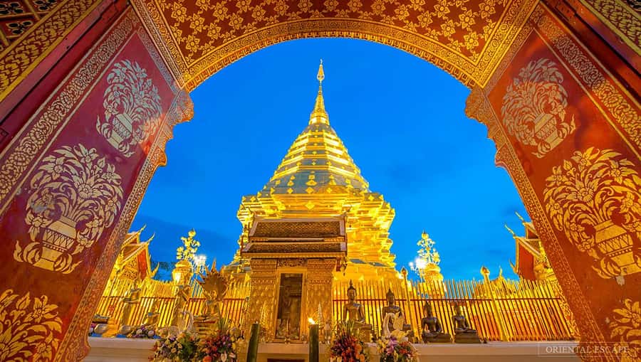 Chiang Mai: Doi Suthep, Wat Pha Lat & Wat Umong Spanish Tour - Wat Pha Lat: walking through the jungle monk enclosure