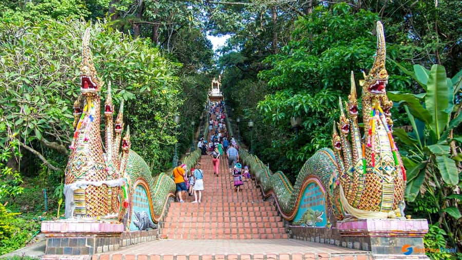 Chiang Mai: Doi Suthep, Wat Pha Lat & Wat Umong Spanish Tour - Who this tour suits best (and who should think twice)