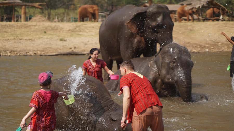 Chiang Mai: Elephant care & Long Neck &Sticky Waterfall Tour - Key things that make this tour worth your time