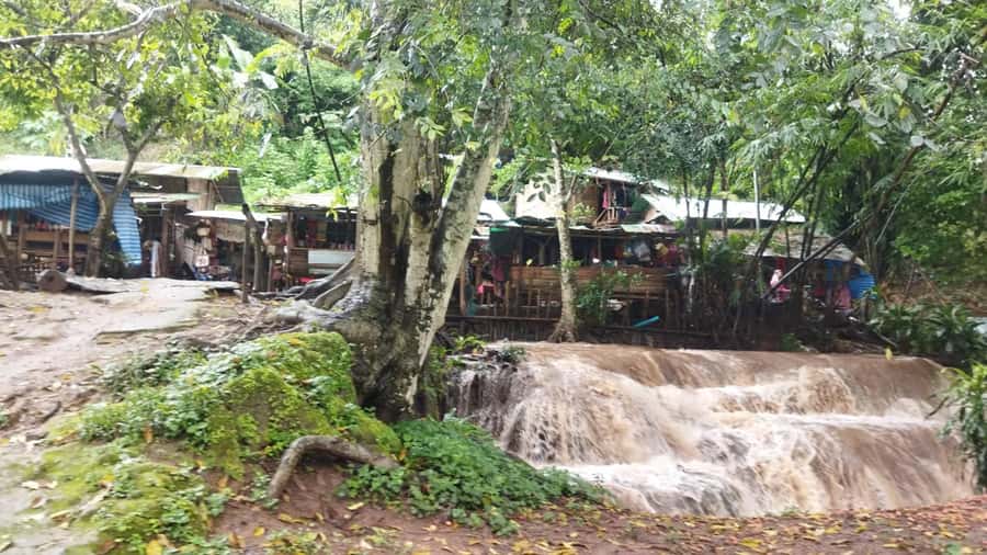 Chiang Mai: Elephant care & Long Neck &Sticky Waterfall Tour - Elephant care with no riding: what the rescue home experience really includes